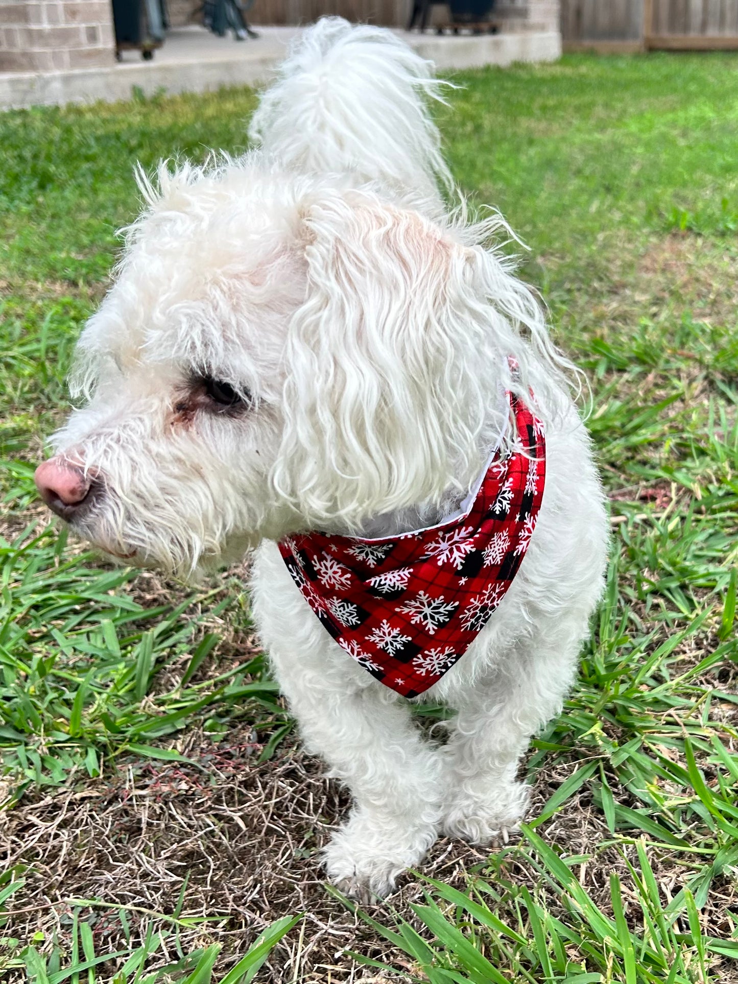 Plaid Pines Reversible Over the Collar Bandana