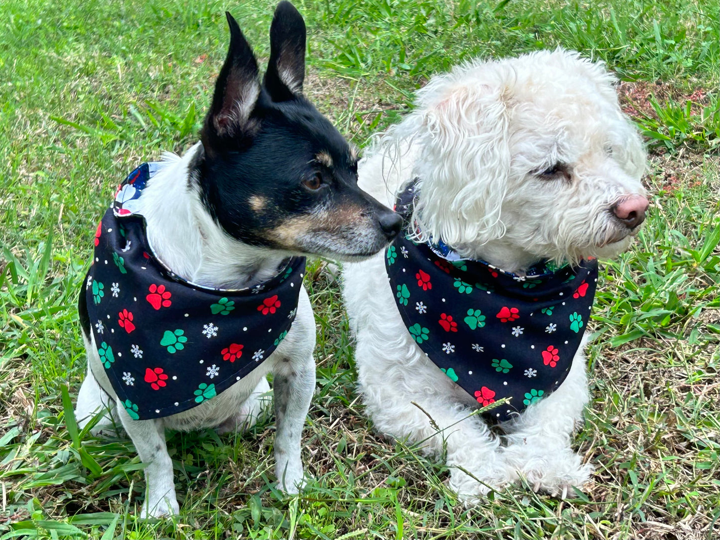 Santa Paws Reversible Over the Collar Bandana