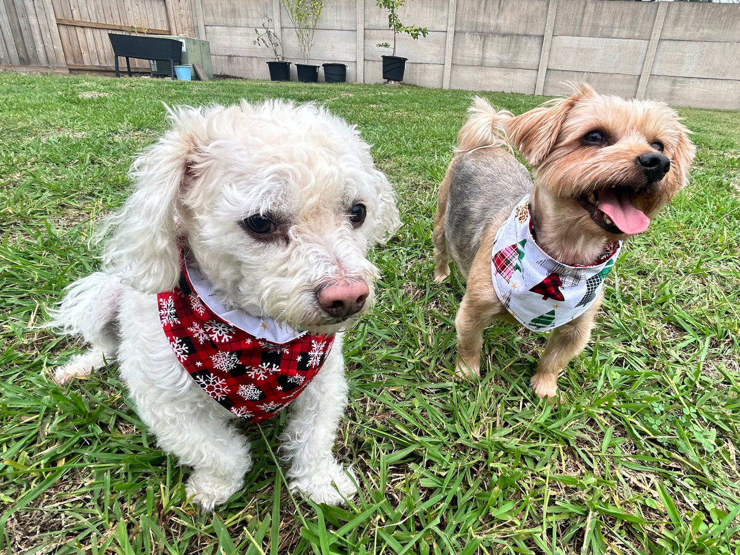 Plaid Pines Reversible Over the Collar Bandana