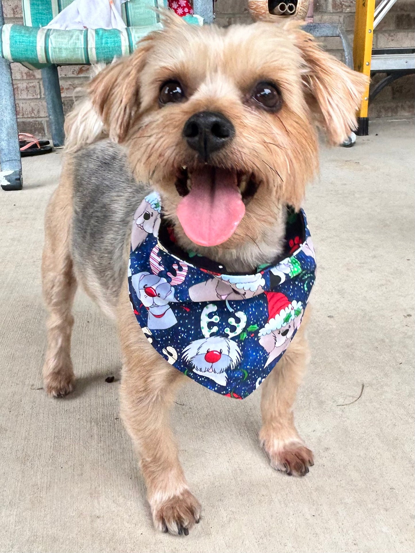 Santa Paws Reversible Over the Collar Bandana