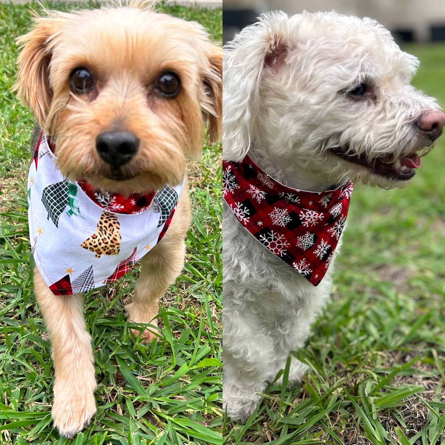 Plaid Pines Reversible Over the Collar Bandana