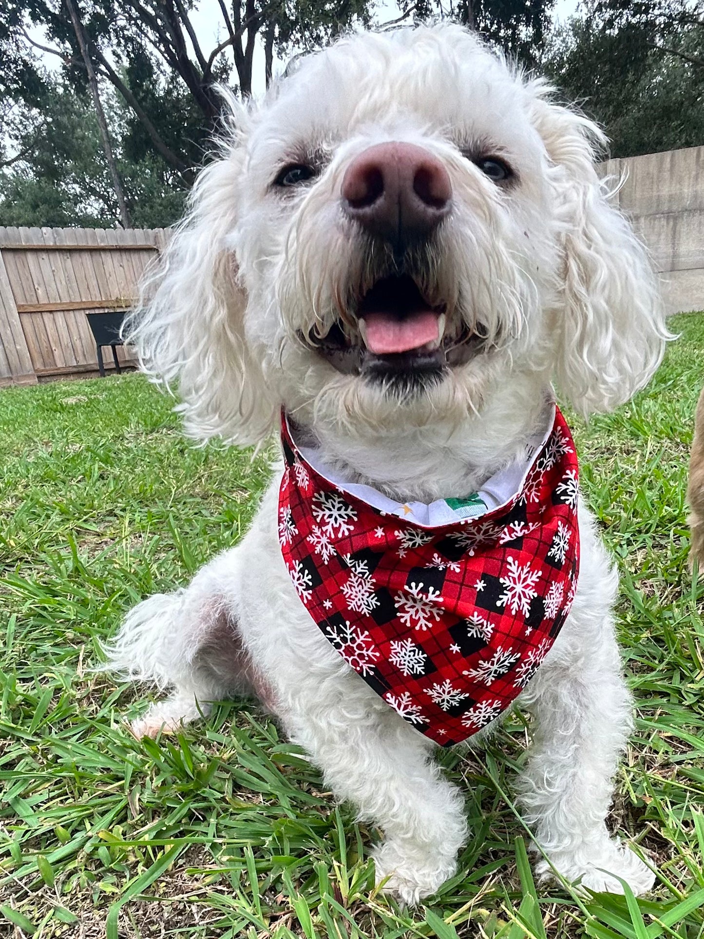 Plaid Pines Reversible Over the Collar Bandana