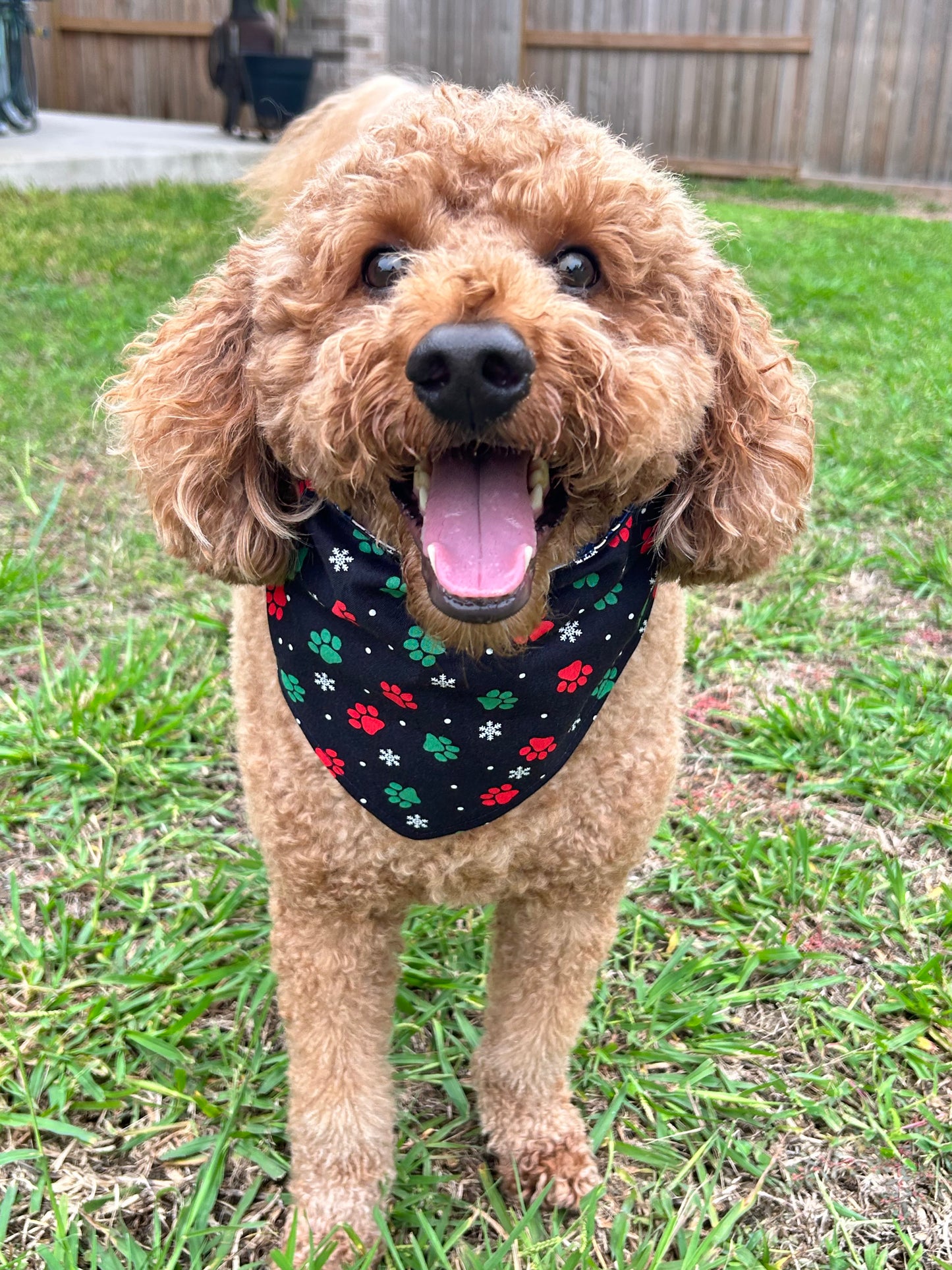 Santa Paws Reversible Over the Collar Bandana