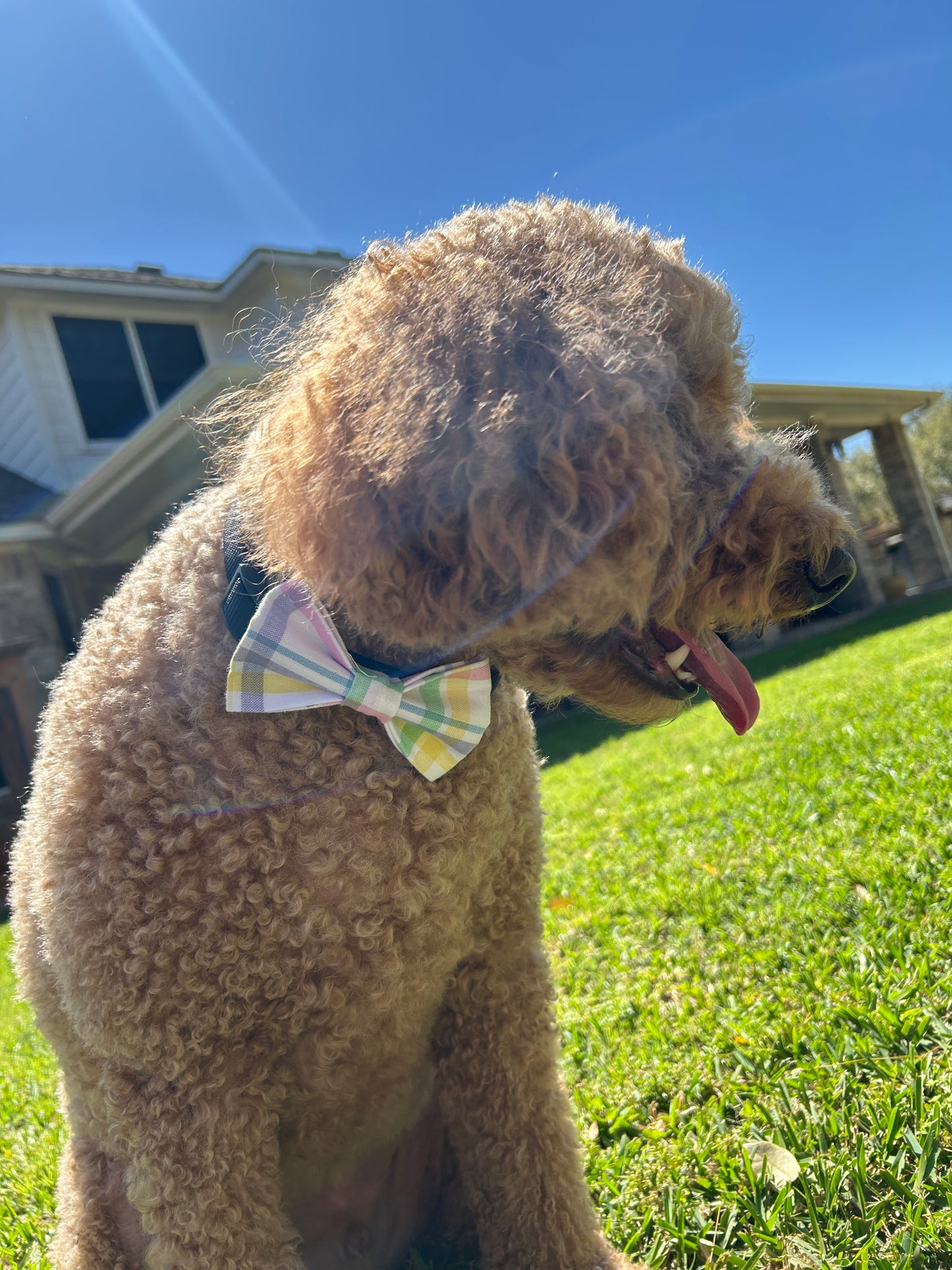 Spring Plaid Bowtie
