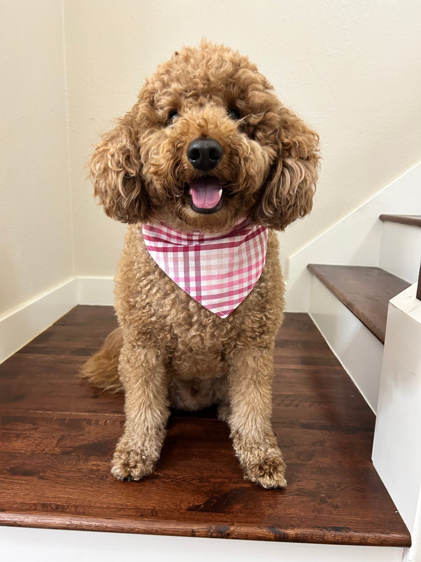 Pink Hearts and Plaid