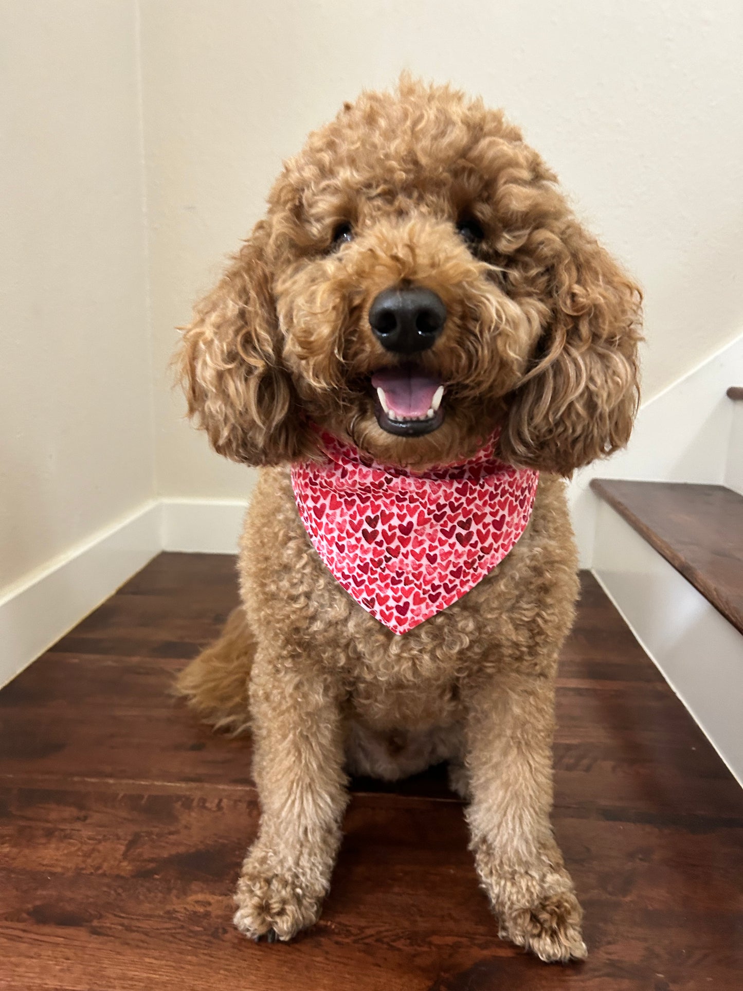 Pink Hearts and Plaid
