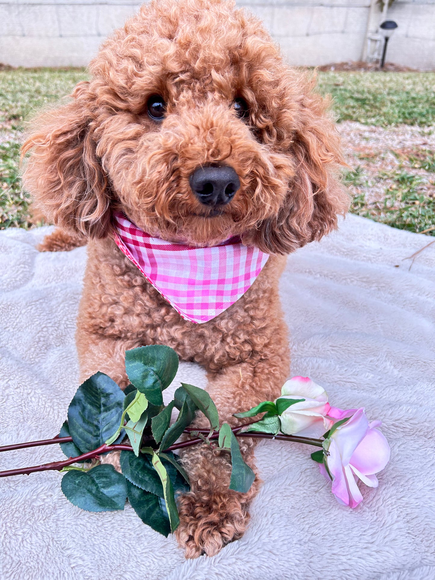 Pink Hearts and Plaid