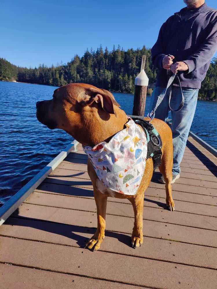 Adventure Time Bandana