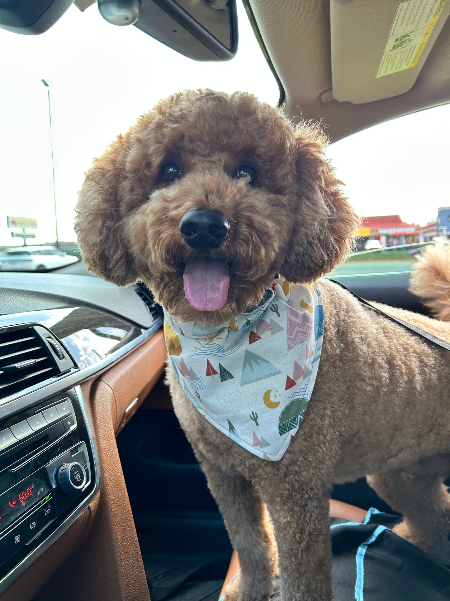 Adventure Time Bandana