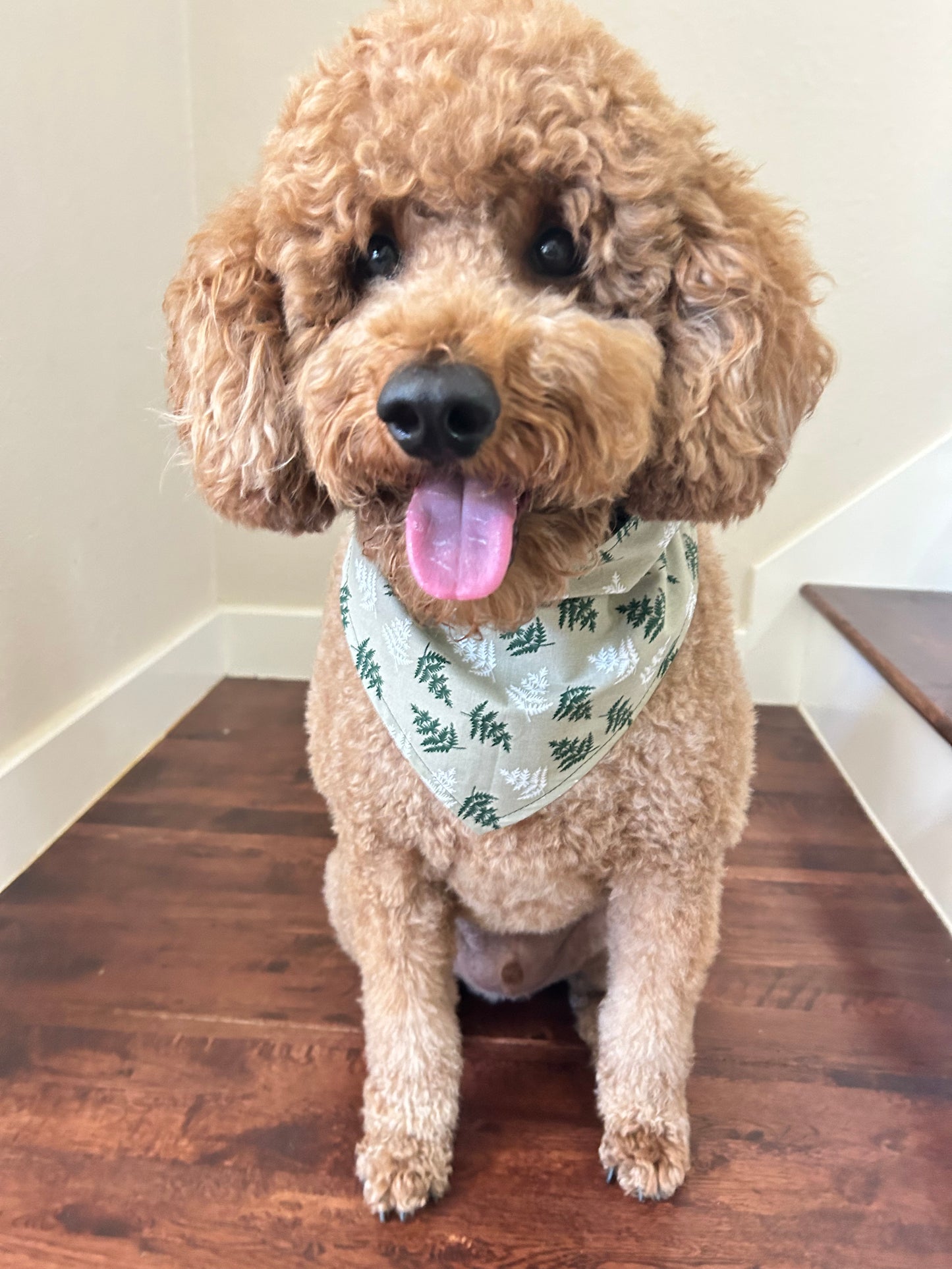 Flowering Ferns Reversible Over the Collar Bandana