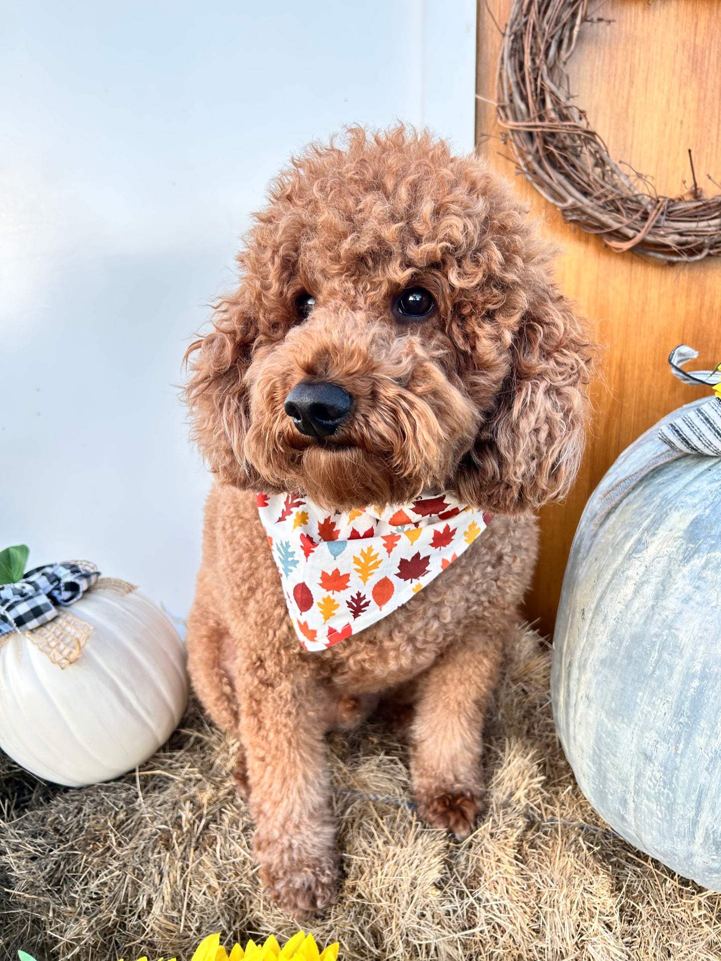 Fall Foliage Reversible Over the Collar Bandana