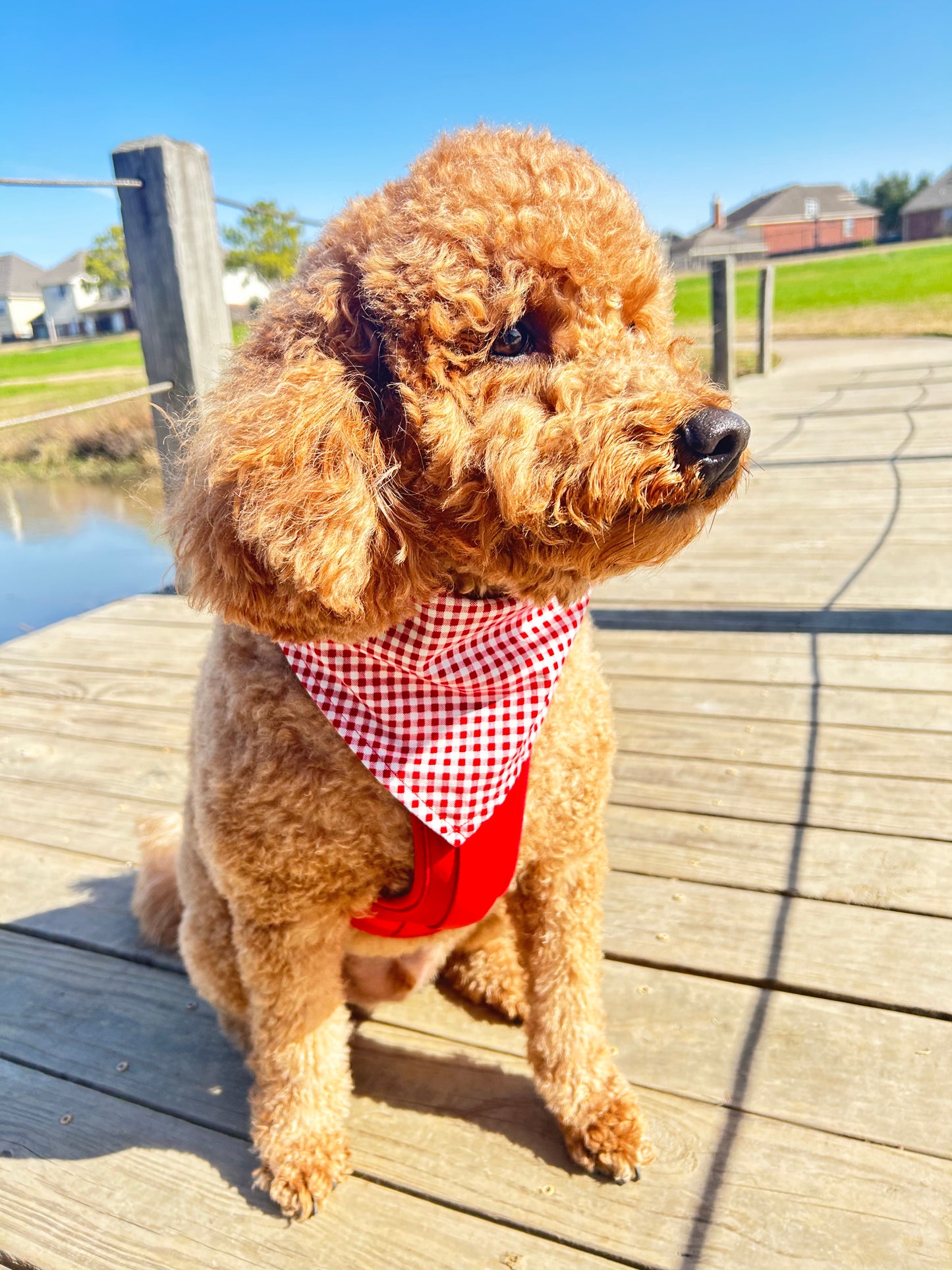 Gingham Sock Monkey Bandana