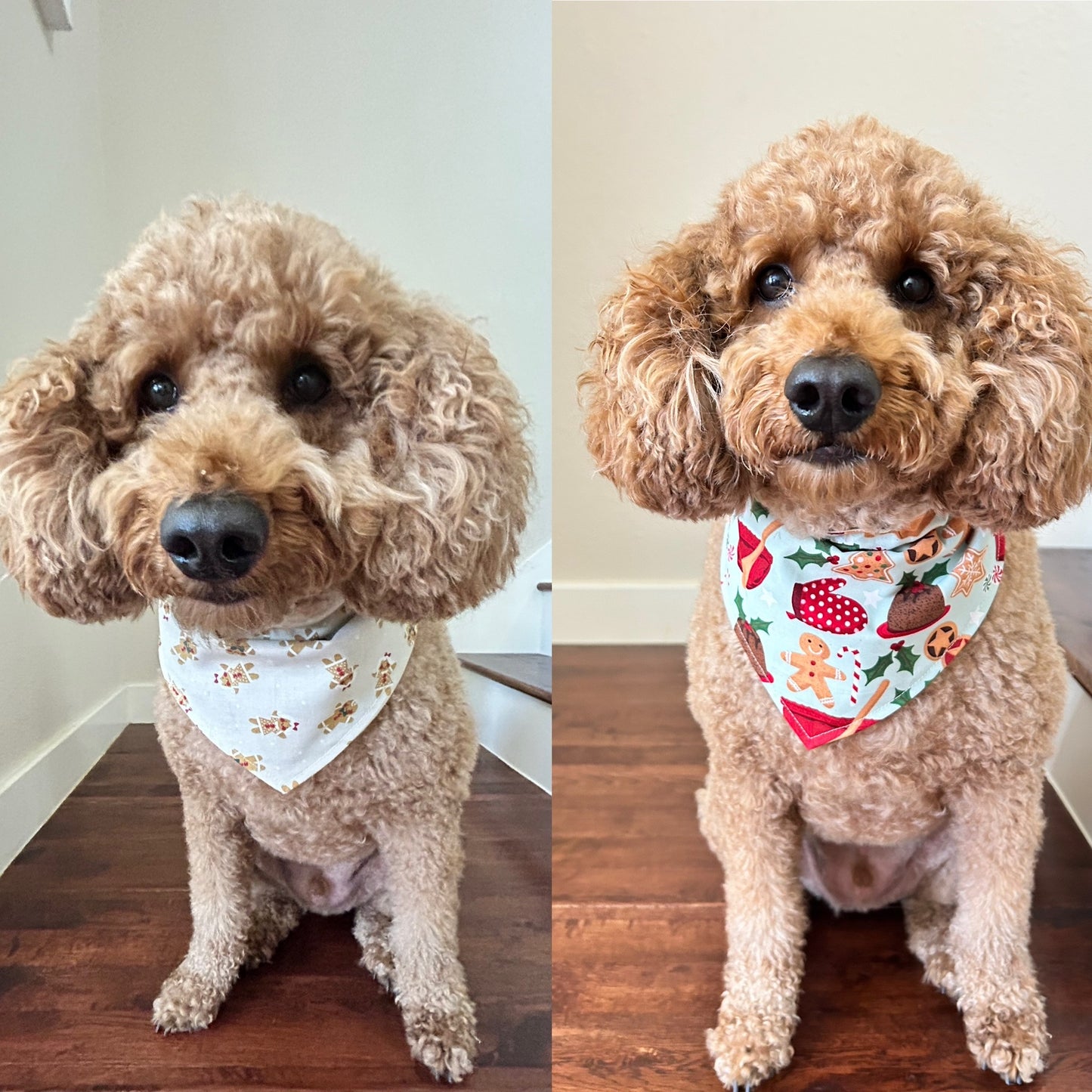 Baking Gingerbread Reversible Over the Collar Bandana