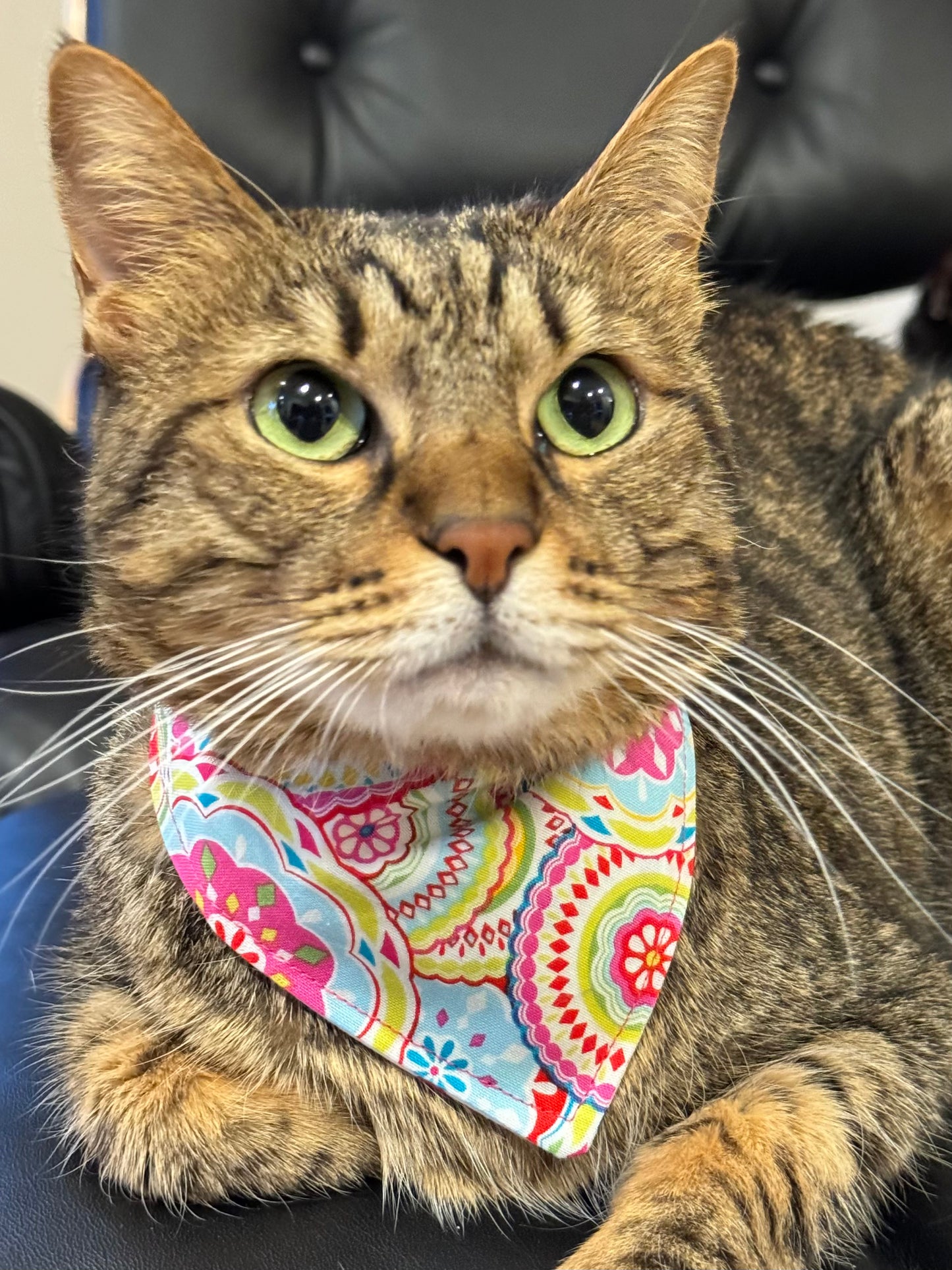 Spotted Mandala Reversible Over the Collar Bandana